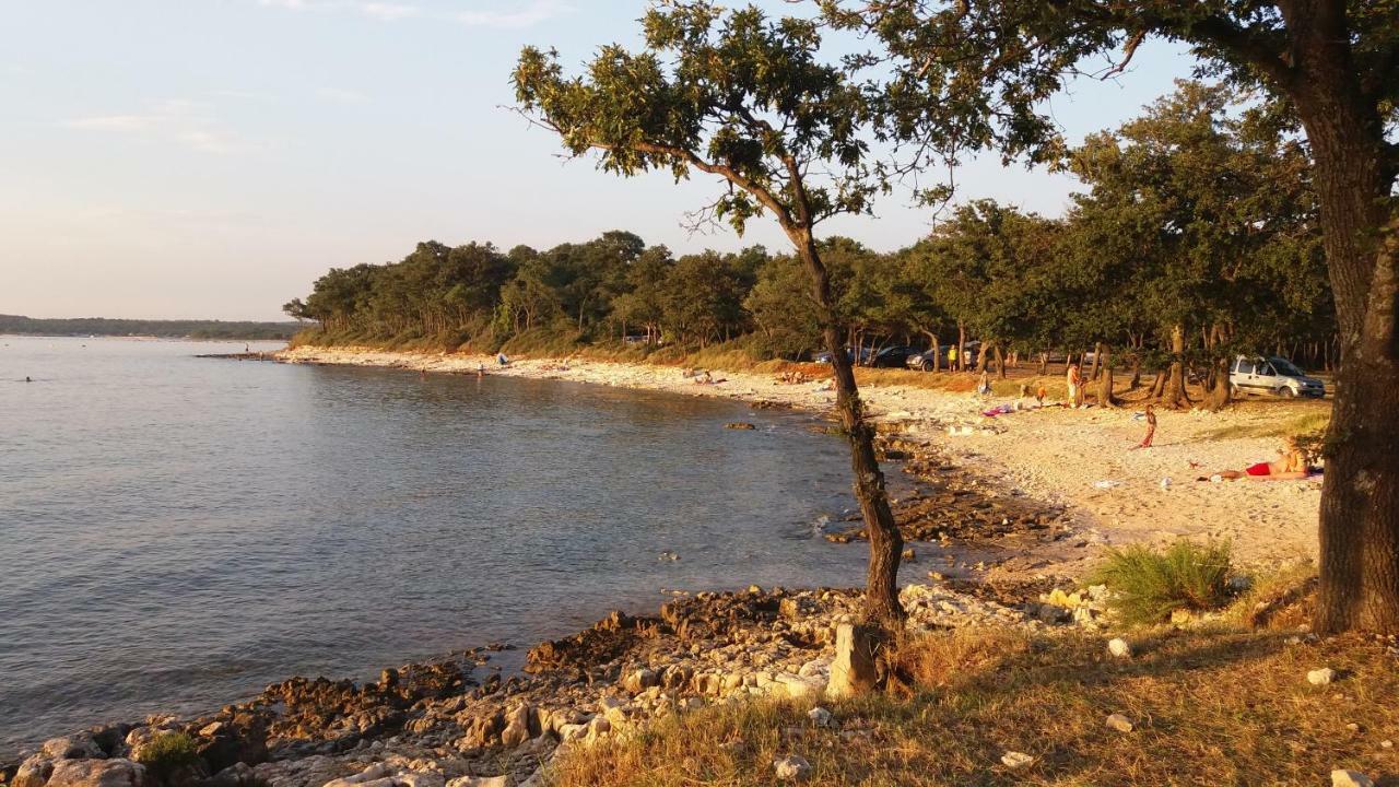 Doris Apartment Porec